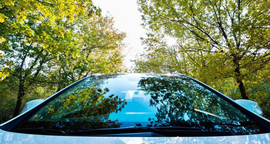 4 Tips on How to Make Sure Your New Windshield Serves You Longer